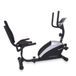 RJK112 Recumbent Professional 306