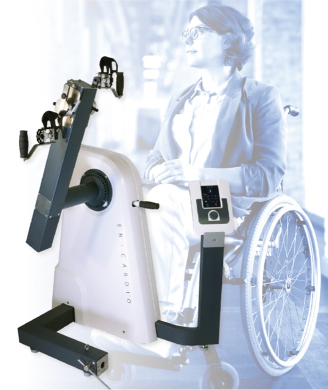 sunny total body bike